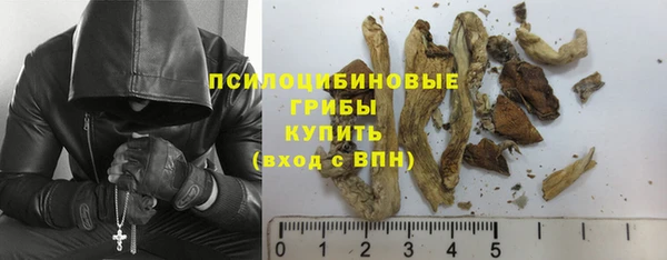 бошки Иннополис