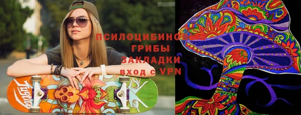 марки lsd Инсар