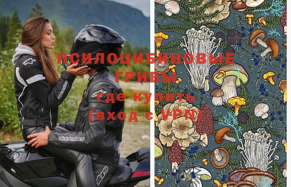 бошки Иннополис