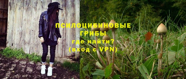 бошки Иннополис