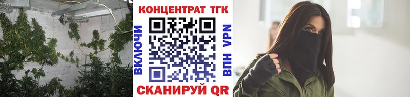 ТГК вейп с тгк  Купить закладки  Курчалой 